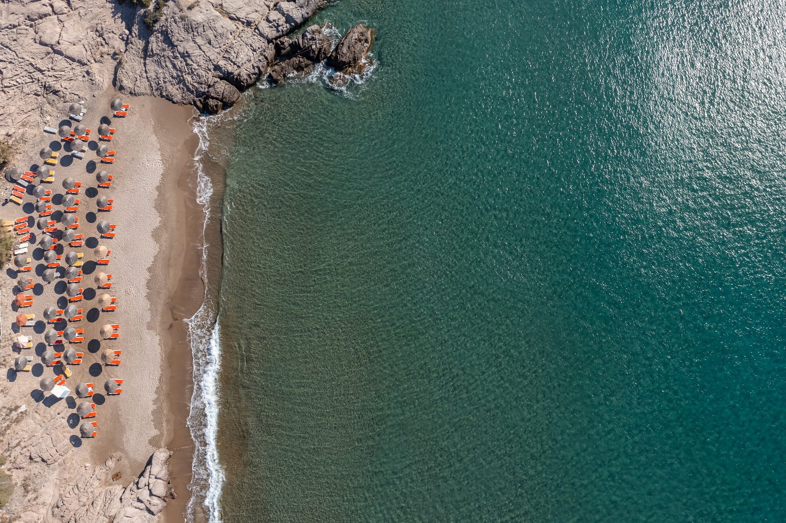 Camel Restaurant meal presentation
